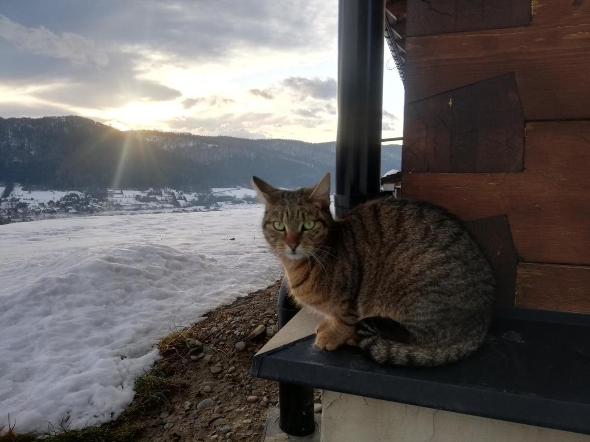 Orlik - Pokoje Goscinne Uscie Gorlickie Esterno foto