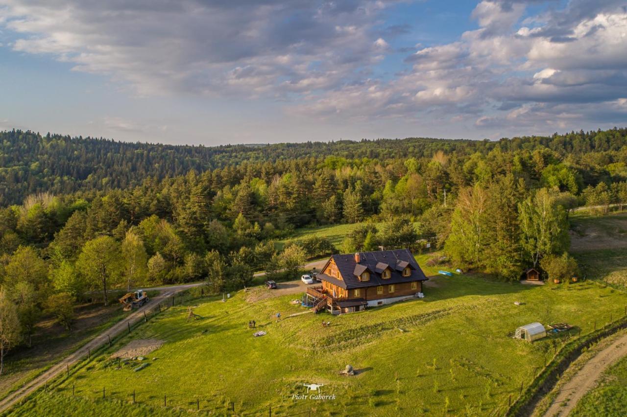 Orlik - Pokoje Goscinne Uscie Gorlickie Esterno foto