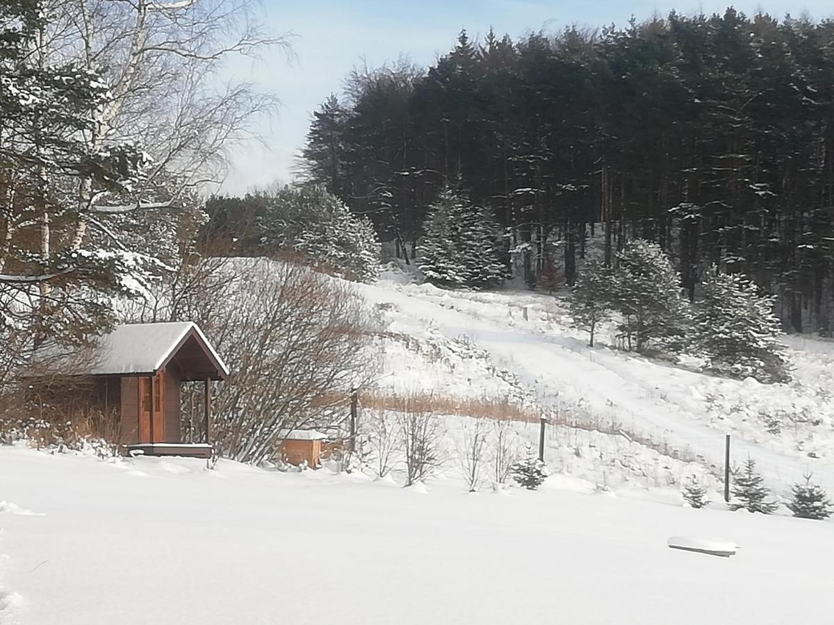 Orlik - Pokoje Goscinne Uscie Gorlickie Esterno foto