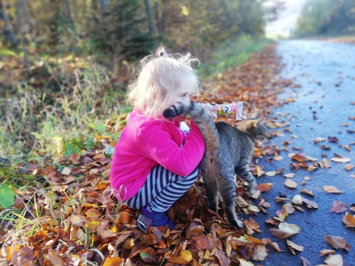 Orlik - Pokoje Goscinne Uscie Gorlickie Esterno foto