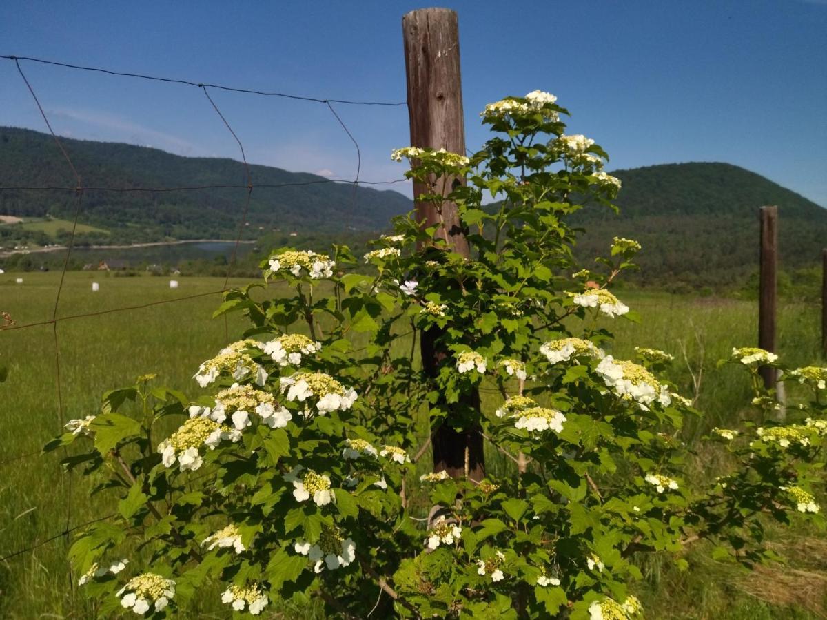 Orlik - Pokoje Goscinne Uscie Gorlickie Esterno foto