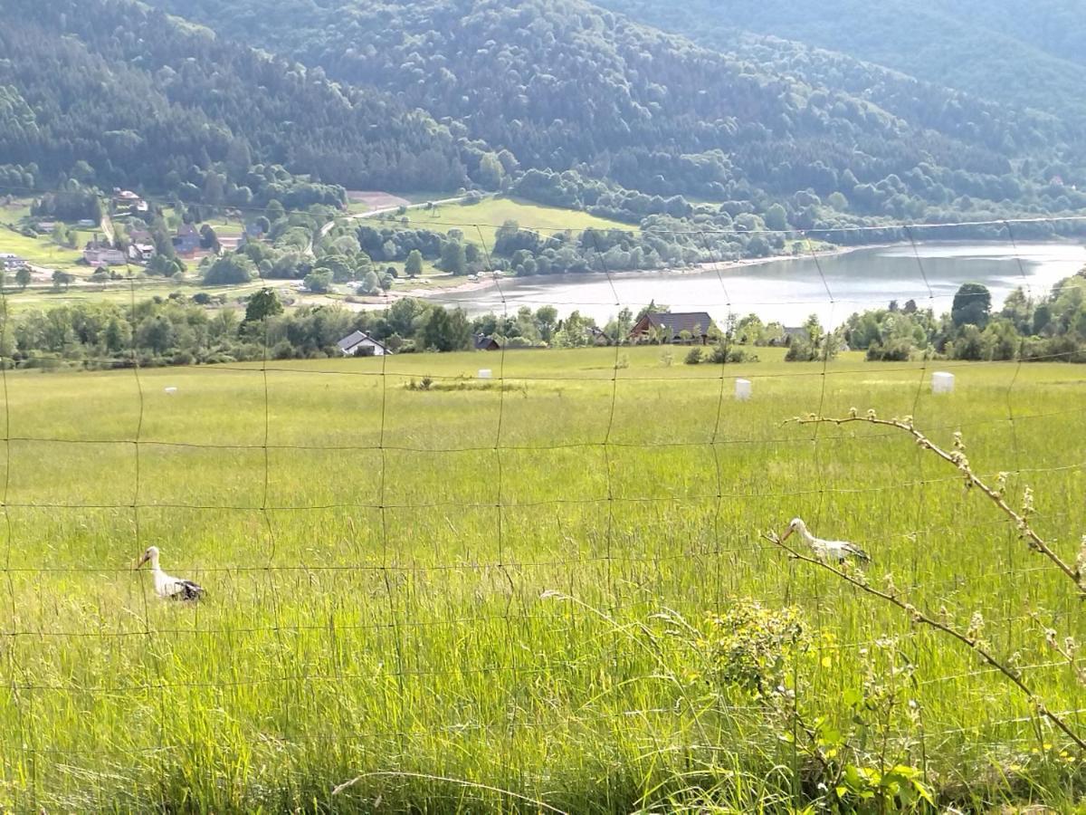 Orlik - Pokoje Goscinne Uscie Gorlickie Esterno foto