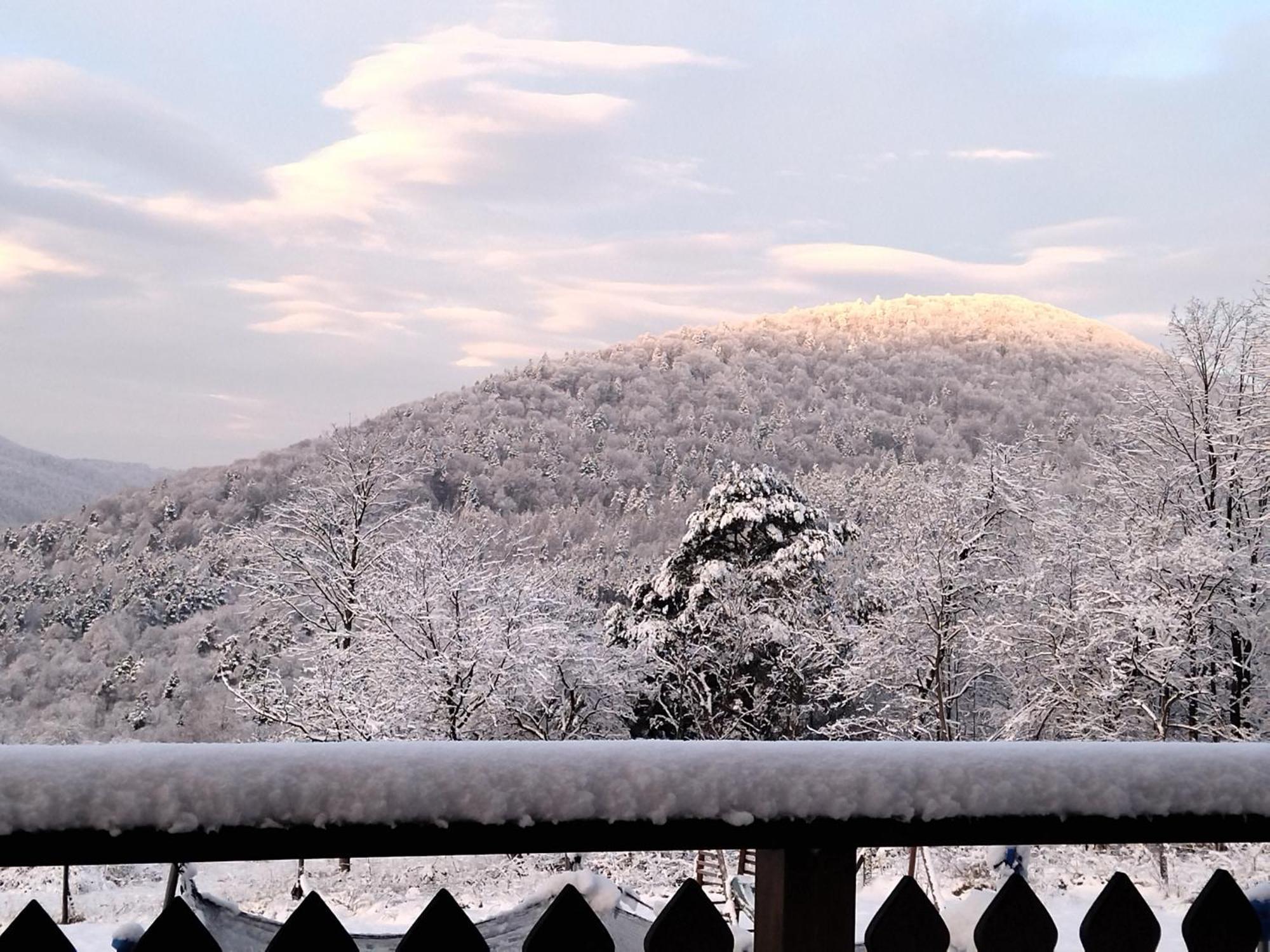 Orlik - Pokoje Goscinne Uscie Gorlickie Esterno foto