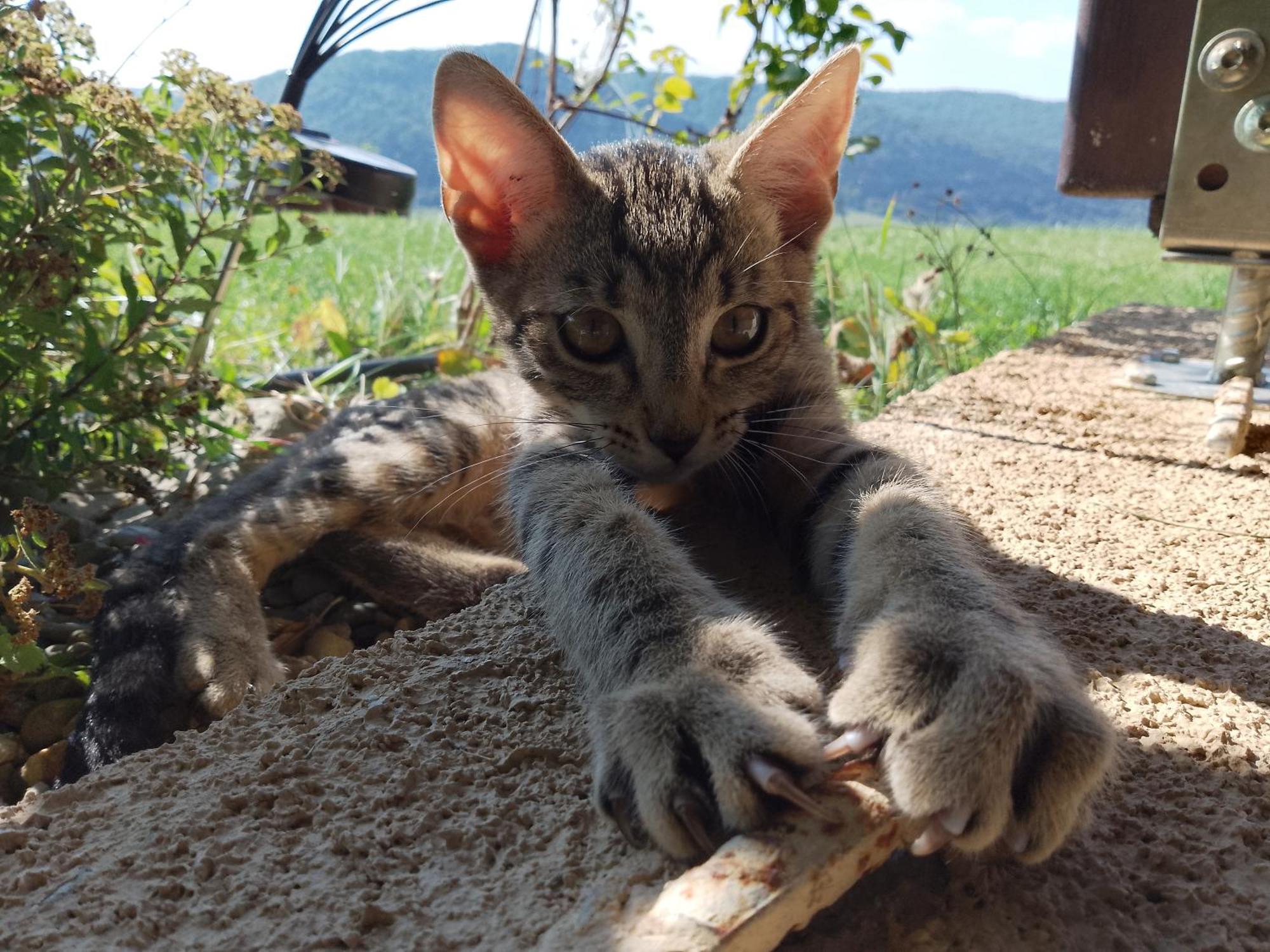 Orlik - Pokoje Goscinne Uscie Gorlickie Esterno foto